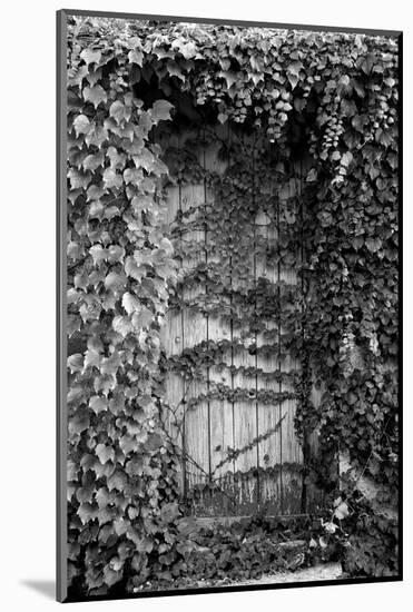 Old Doorway, Cruzy, Languedoc-Roussillon, France-null-Mounted Photographic Print