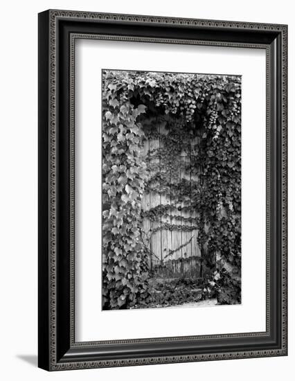 Old Doorway, Cruzy, Languedoc-Roussillon, France-null-Framed Photographic Print