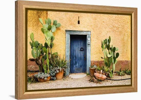 Old Doorway Surrounded by Cactus Plants and Stucco Wall.-BCFC-Framed Premier Image Canvas