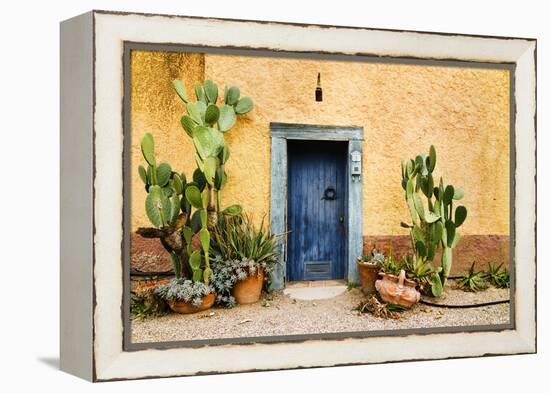 Old Doorway Surrounded by Cactus Plants and Stucco Wall.-BCFC-Framed Premier Image Canvas