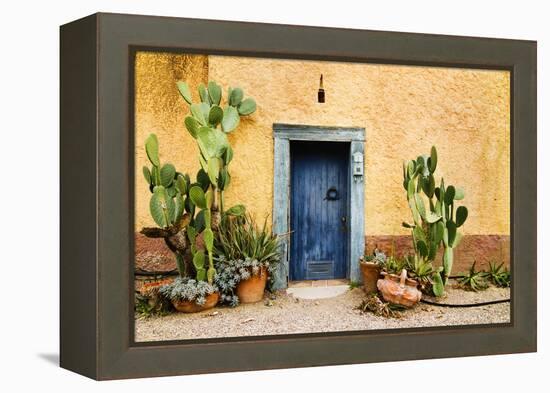 Old Doorway Surrounded by Cactus Plants and Stucco Wall.-BCFC-Framed Premier Image Canvas