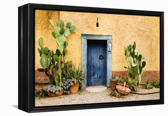 Old Doorway Surrounded by Cactus Plants and Stucco Wall.-BCFC-Framed Premier Image Canvas