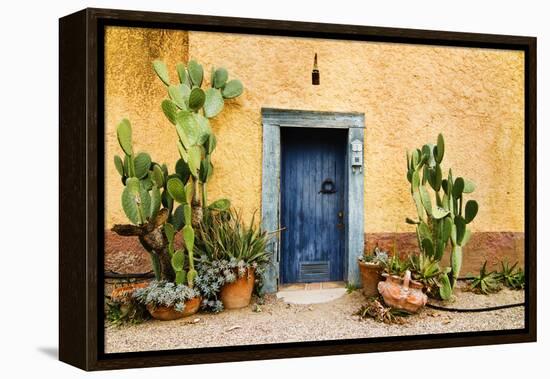 Old Doorway Surrounded by Cactus Plants and Stucco Wall.-BCFC-Framed Premier Image Canvas