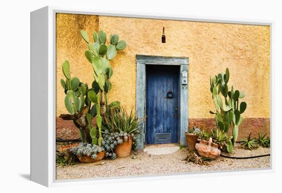 Old Doorway Surrounded by Cactus Plants and Stucco Wall.-BCFC-Framed Premier Image Canvas