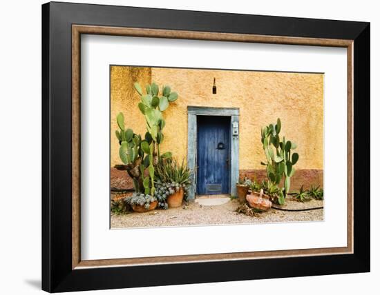 Old Doorway Surrounded by Cactus Plants and Stucco Wall.-BCFC-Framed Photographic Print