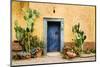 Old Doorway Surrounded by Cactus Plants and Stucco Wall.-BCFC-Mounted Photographic Print