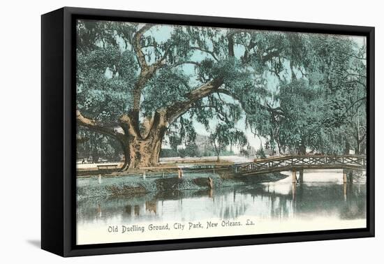 Old Dueling Ground, New Orleans-null-Framed Stretched Canvas