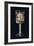 'Old English Glass Goblet', c1775-Unknown-Framed Giclee Print