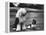Old English Sheep Dog with Little Shih Tzu Dog-Yale Joel-Framed Premier Image Canvas