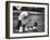 Old English Sheep Dog with Little Shih Tzu Dog-Yale Joel-Framed Photographic Print