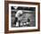 Old English Sheep Dog with Little Shih Tzu Dog-Yale Joel-Framed Photographic Print