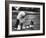 Old English Sheep Dog with Little Shih Tzu Dog-Yale Joel-Framed Photographic Print