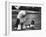 Old English Sheep Dog with Little Shih Tzu Dog-Yale Joel-Framed Photographic Print