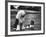 Old English Sheep Dog with Little Shih Tzu Dog-Yale Joel-Framed Photographic Print