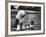 Old English Sheep Dog with Little Shih Tzu Dog-Yale Joel-Framed Photographic Print