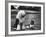 Old English Sheep Dog with Little Shih Tzu Dog-Yale Joel-Framed Photographic Print