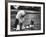 Old English Sheep Dog with Little Shih Tzu Dog-Yale Joel-Framed Photographic Print