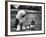 Old English Sheep Dog with Little Shih Tzu Dog-Yale Joel-Framed Photographic Print