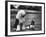 Old English Sheep Dog with Little Shih Tzu Dog-Yale Joel-Framed Photographic Print