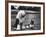 Old English Sheep Dog with Little Shih Tzu Dog-Yale Joel-Framed Photographic Print