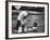 Old English Sheep Dog with Little Shih Tzu Dog-Yale Joel-Framed Photographic Print