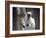 Old Ethiopian Orthodox Priest Holds a Large Brass Coptic Cross at Rock-Hewn Church of Adadi Maryam-Nigel Pavitt-Framed Photographic Print