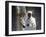 Old Ethiopian Orthodox Priest Holds a Large Brass Coptic Cross at Rock-Hewn Church of Adadi Maryam-Nigel Pavitt-Framed Photographic Print