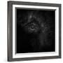 Old Eye-Ruud Peters-Framed Photographic Print