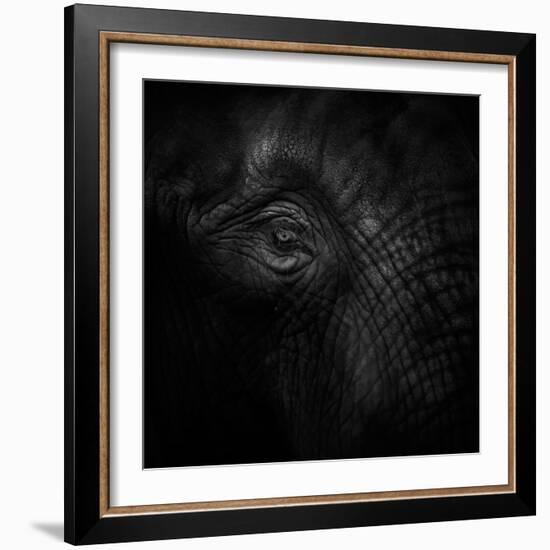 Old Eye-Ruud Peters-Framed Photographic Print