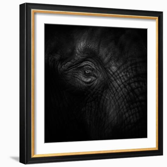 Old Eye-Ruud Peters-Framed Photographic Print