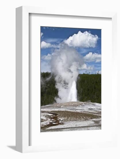 Old Faithful Erupting. Yellowstone National Park, Wyoming, USA-Michel Hersen-Framed Photographic Print