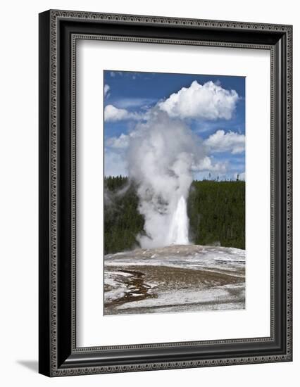 Old Faithful Erupting. Yellowstone National Park, Wyoming, USA-Michel Hersen-Framed Photographic Print