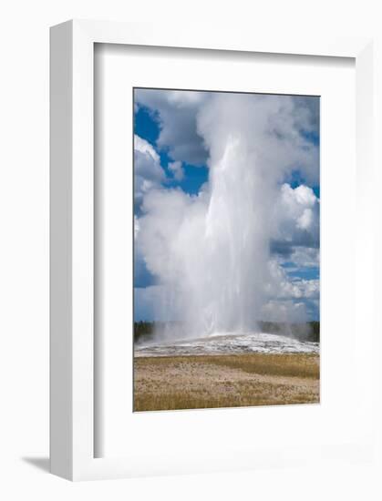 Old Faithful erupts Yellowstone-null-Framed Art Print