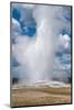 Old Faithful erupts Yellowstone-null-Mounted Art Print