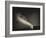 Old Faithful Geyer after Dark at Yellowstone National Park-Rebecca Gaal-Framed Photographic Print