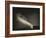Old Faithful Geyer after Dark at Yellowstone National Park-Rebecca Gaal-Framed Photographic Print