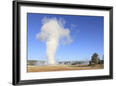 Yellowstone National Park Panoramic Wall Decor - Old Faithful Picture