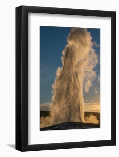 Old Faithful Geyser Eruption, Yellowstone National Park, Wyoming, Usa.-Roddy Scheer-Framed Photographic Print