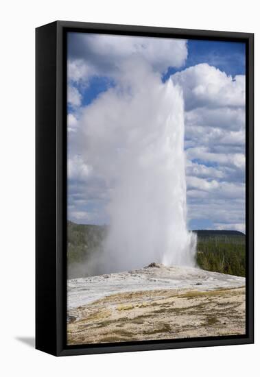 Old Faithful Geyser, Upper Geyser Basin, Yellowstone National Park, Wyoming, U.S.A.-Gary Cook-Framed Premier Image Canvas