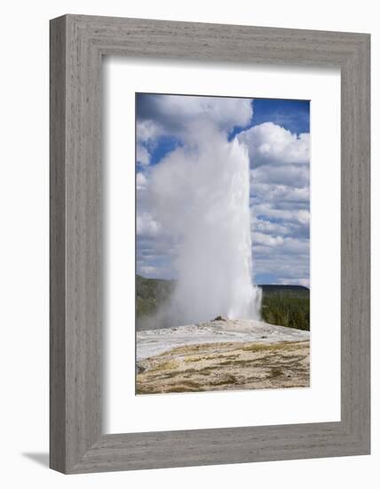 Old Faithful Geyser, Upper Geyser Basin, Yellowstone National Park, Wyoming, U.S.A.-Gary Cook-Framed Photographic Print