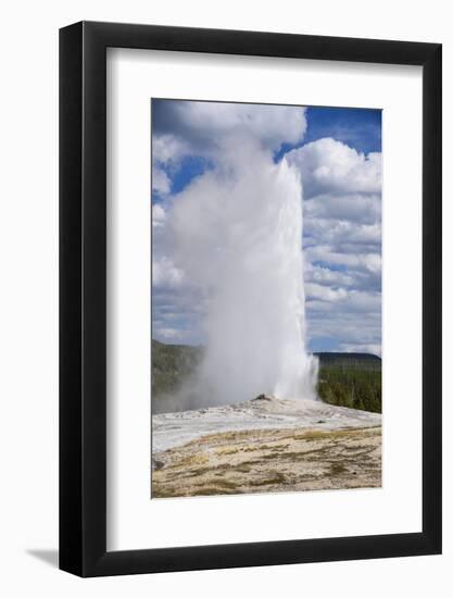 Old Faithful Geyser, Upper Geyser Basin, Yellowstone National Park, Wyoming, U.S.A.-Gary Cook-Framed Photographic Print