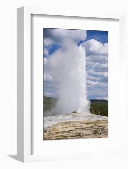 Old Faithful Geyser, Upper Geyser Basin, Yellowstone National Park, Wyoming, U.S.A.-Gary Cook-Framed Photographic Print