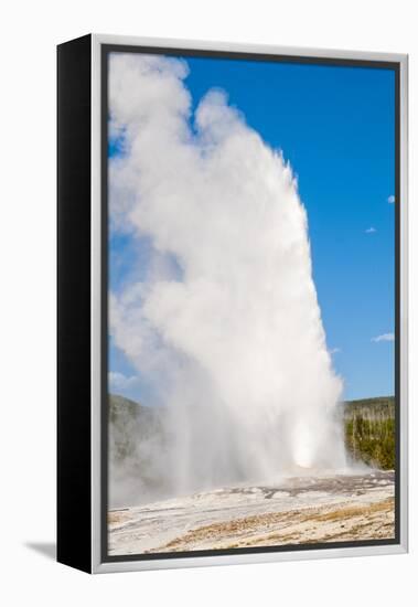 Old Faithful Geyser, Yellowstone National Park, Wyoming, United States of America, North America-Michael DeFreitas-Framed Premier Image Canvas