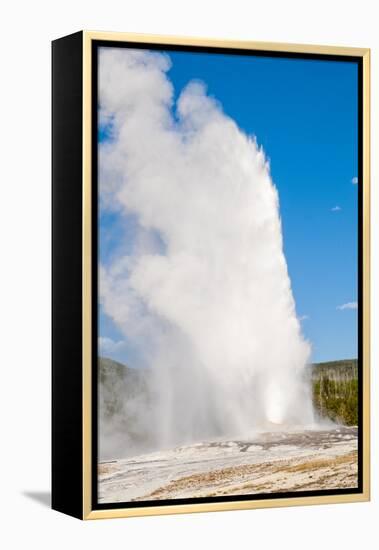 Old Faithful Geyser, Yellowstone National Park, Wyoming, United States of America, North America-Michael DeFreitas-Framed Premier Image Canvas