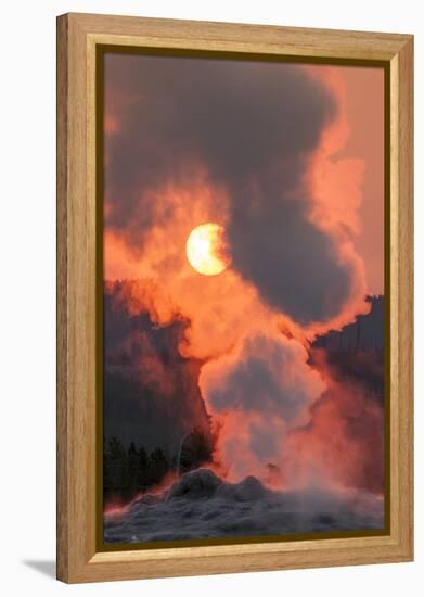 Old Faithful Geyser Yellowstone National Park, Wyoming-Michael DeFreitas-Framed Premier Image Canvas