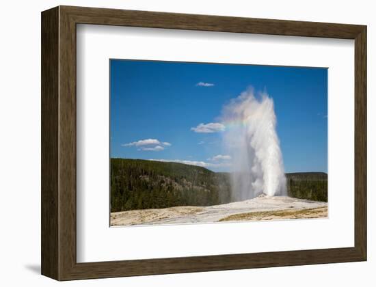 Old Faithful Geyser Yellowstone-null-Framed Premium Giclee Print