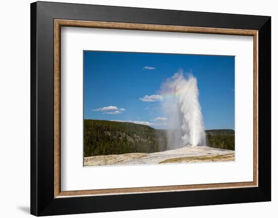 Old Faithful Geyser Yellowstone-null-Framed Art Print