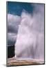 Old Faithful Yellowstone National Park-Belinda Shi-Mounted Photographic Print