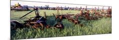 Premium Photographic Print