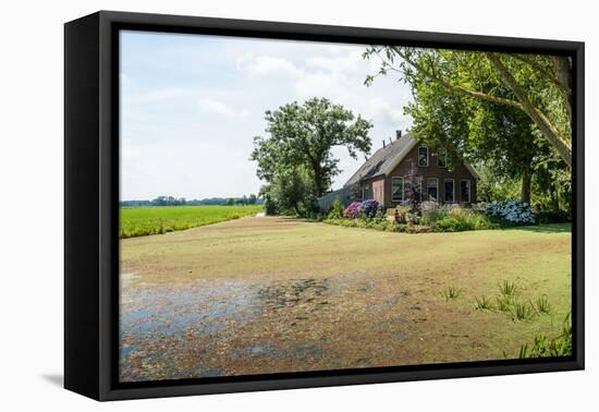 Old Farm House in A Dutch Polder Landscape-Ruud Morijn-Framed Premier Image Canvas